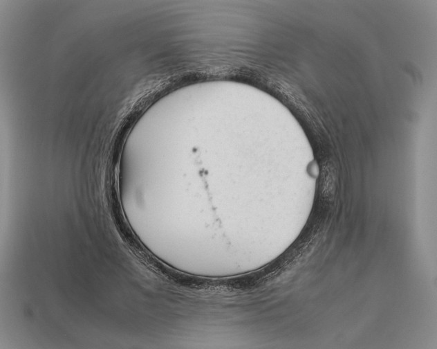X0000113040685200909241435