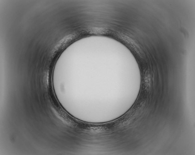 X0000113040686200909241435