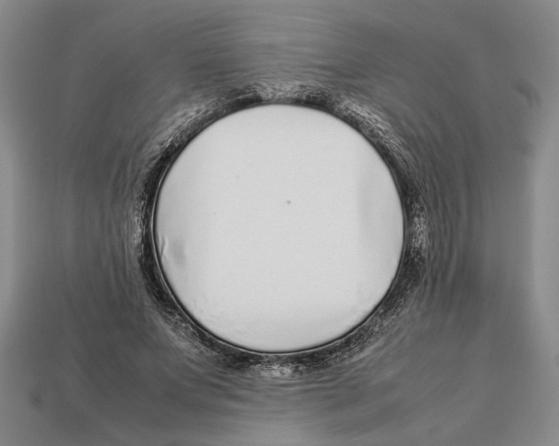 X0000113040687200909241435