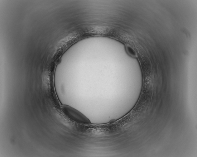 X0000113040688200909241435