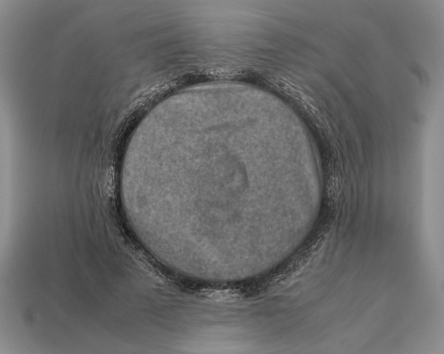 X0000113040689200909241435