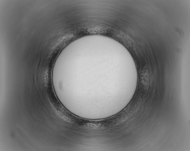 X0000113040690200909241435