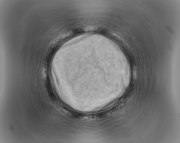 X0000113040691200909241435