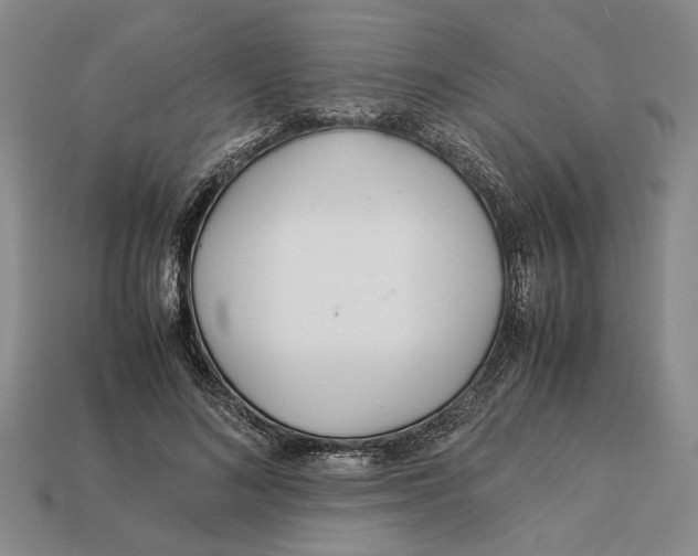 X0000113040692200909241435