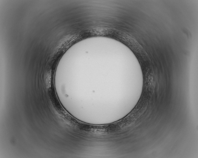 X0000113040694200909241435