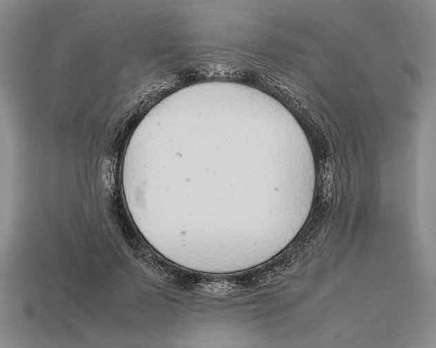 X0000113040695200909241434