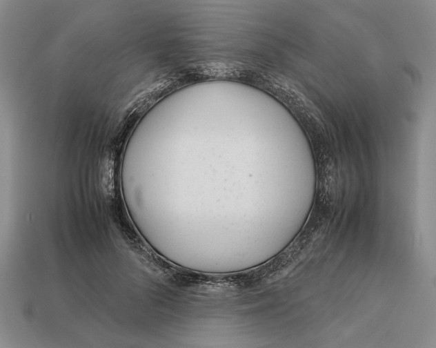 X0000113040696200909241434