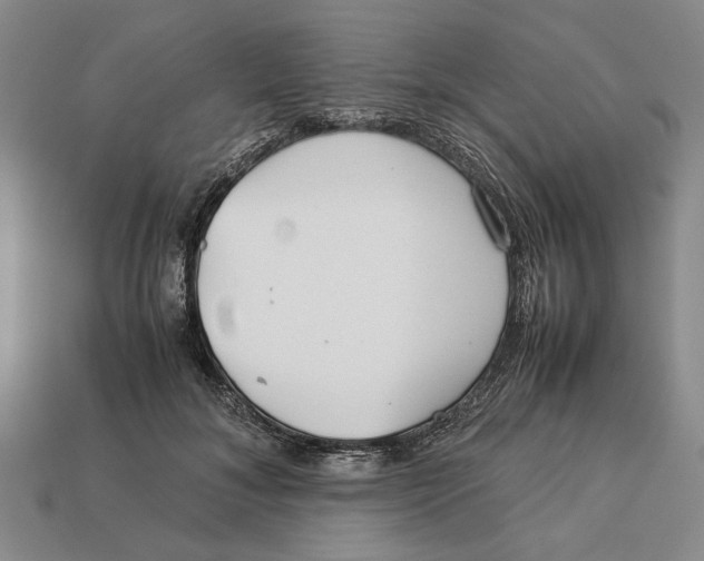 X0000113040700200909241434