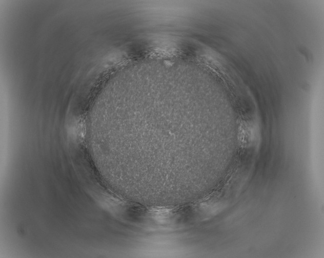 X0000113040701200909241434