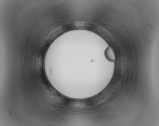 X0000113040702200909241434