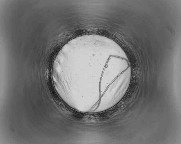 X0000113040703200909241434