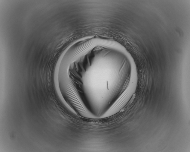 X0000113040704200909241434