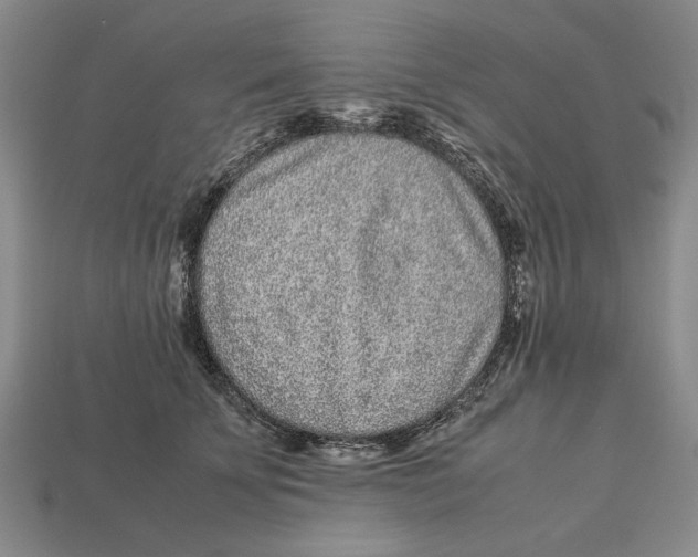 X0000113040707200909241434