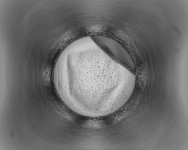 X0000113040708200909241434