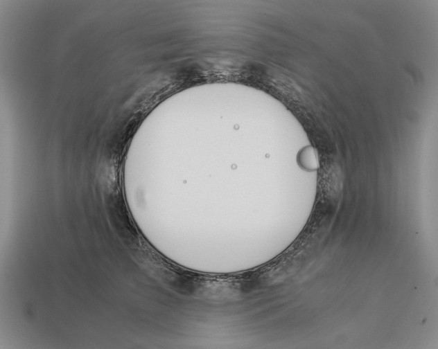 X0000113040709200909241434