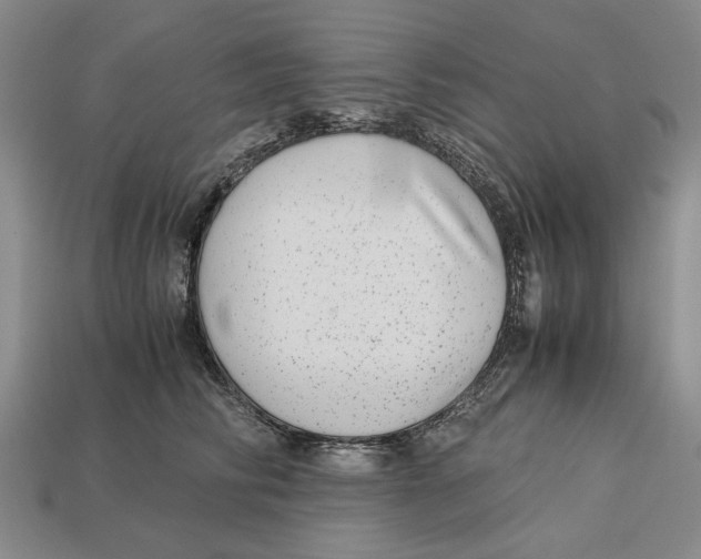 X0000113040710200909241434