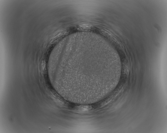 X0000113040711200909241434