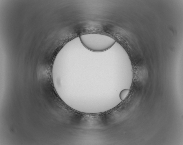 X0000113040713200909241434