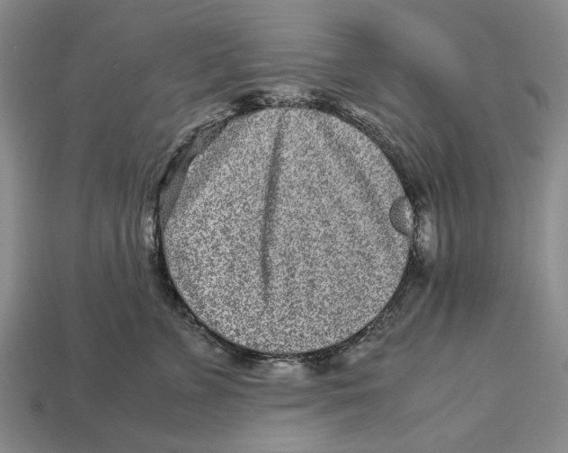 X0000113040715200909241434