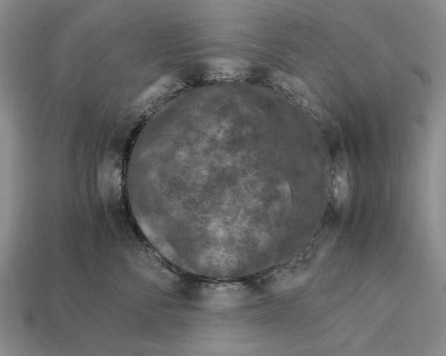 X0000113040716200909241434
