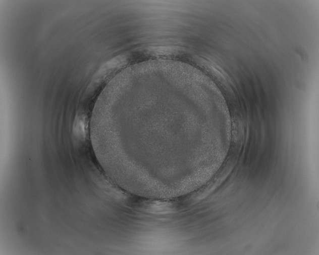X0000113040718200909241434