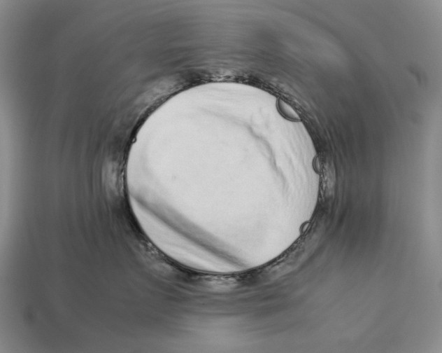 X0000113040719200909241434