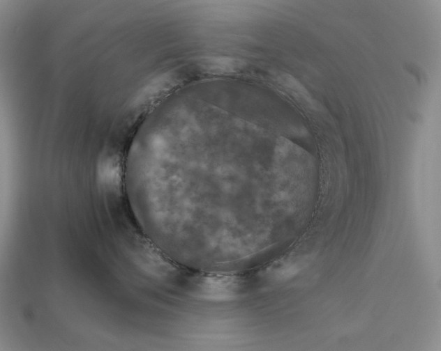 X0000113040720200909241434
