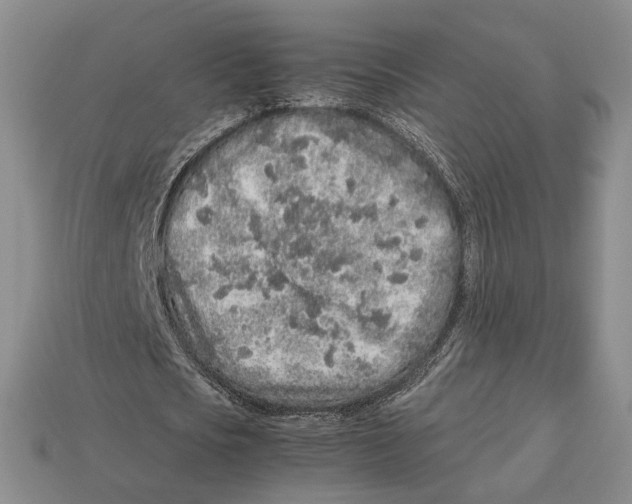 X0000113040721200909241434