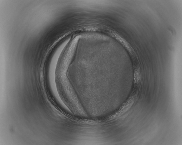 X0000113040722200909241434