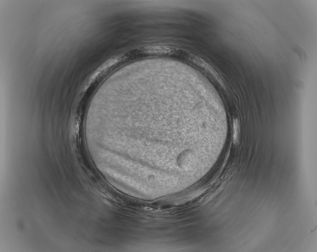 X0000113040723200909241434