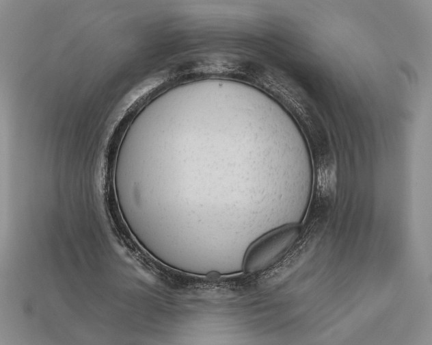 X0000113040724200909241434
