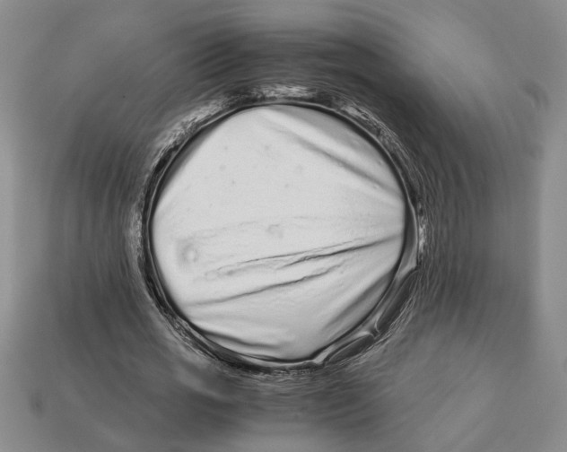 X0000113040725200909241434