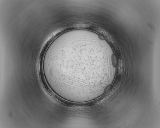 X0000113040726200909241434