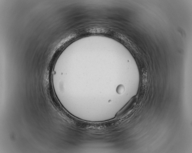 X0000113040727200909241434