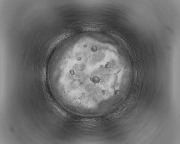 X0000113040729200909241434