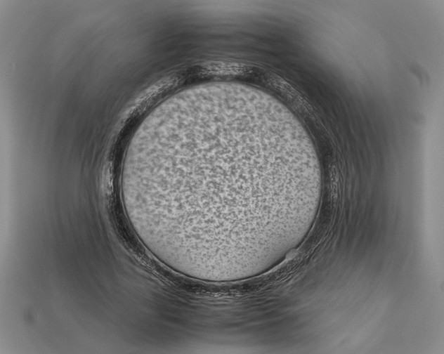 X0000113040731200909241434