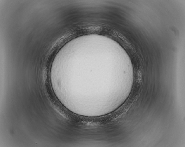 X0000113040733200909241434