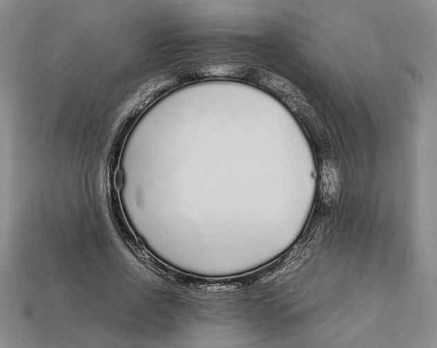 X0000113040734200909241434