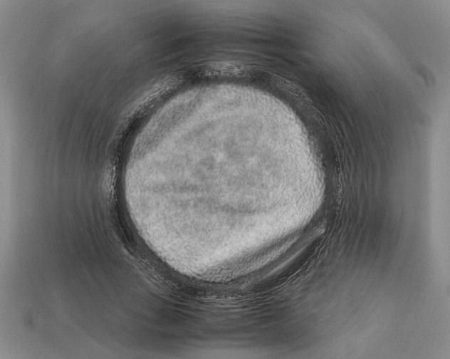 X0000113040735200909241434