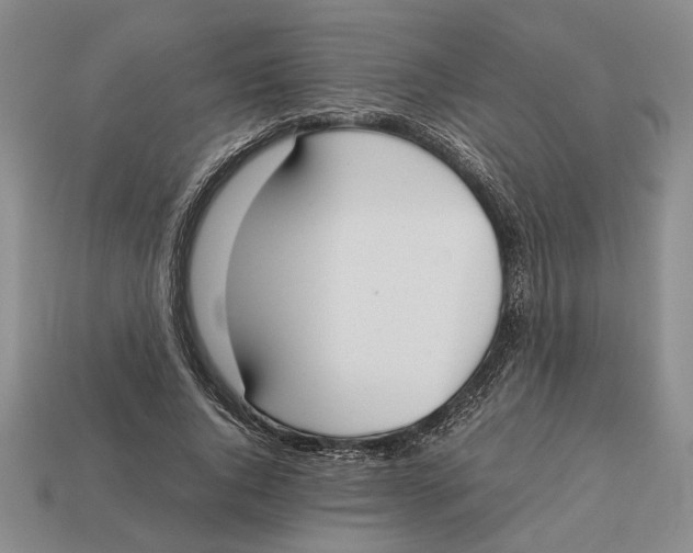 X0000113040736200909241434