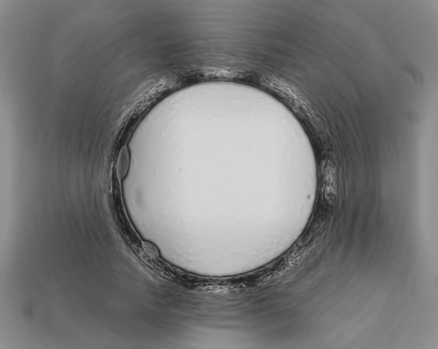X0000113040738200909241434