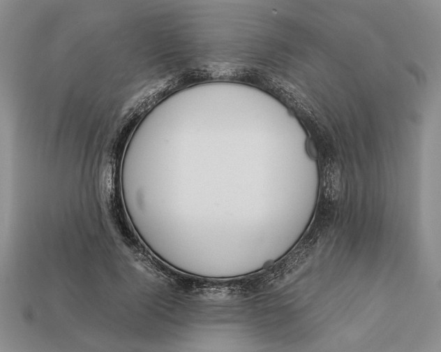 X0000113040740200909241434
