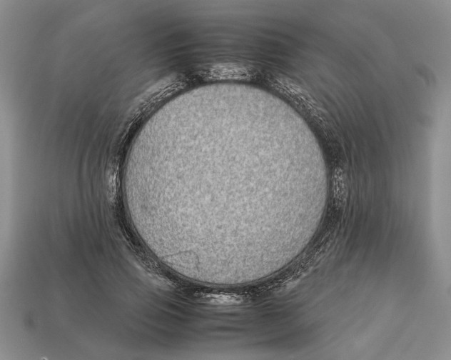 X0000113040741200909241434