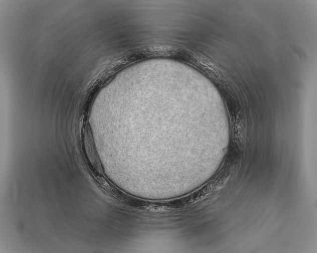 X0000113040742200909241434