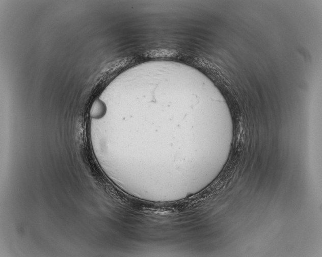 X0000113040743200909241434