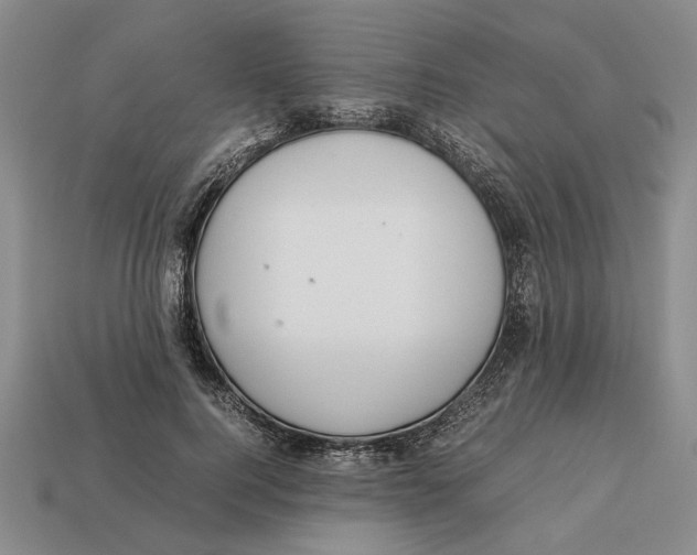 X0000113040744200909241434