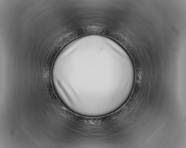 X0000113040745200909241434