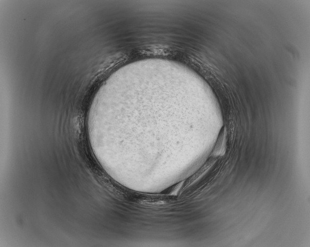 X0000113040747200909241434
