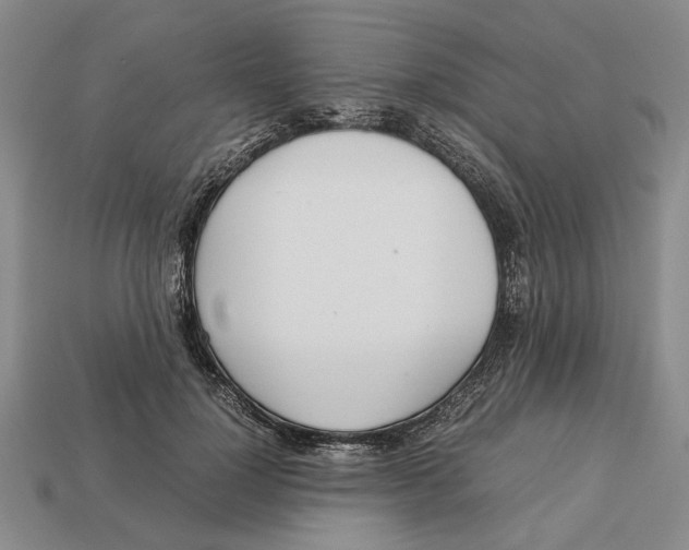 X0000113040748200909241434