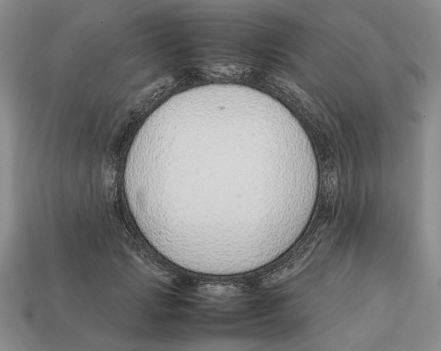 X0000113040749200909241434